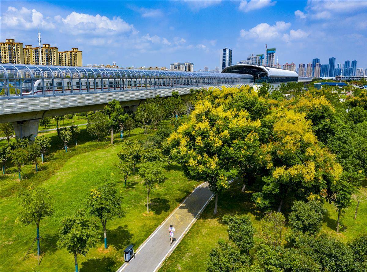 鸿丰娱乐下载官方网站